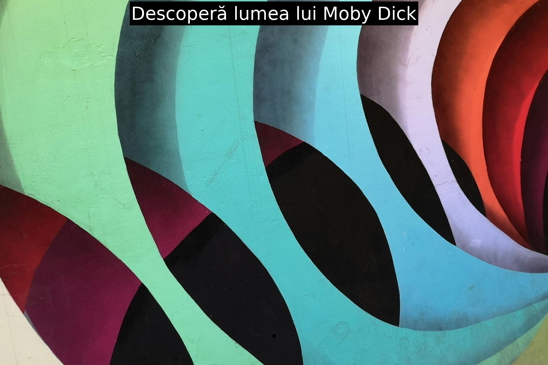 Descoperă lumea lui Moby Dick