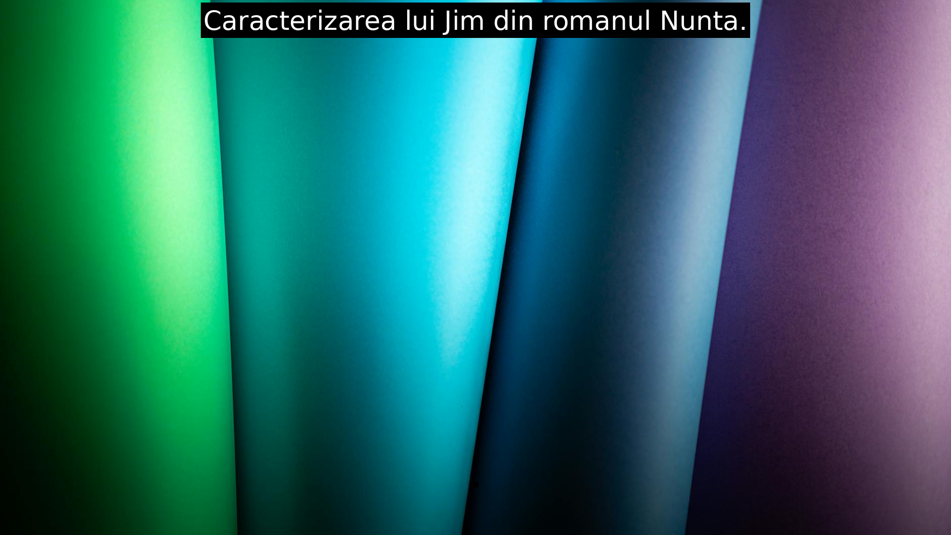 Caracterizarea lui Jim din romanul Nunta.