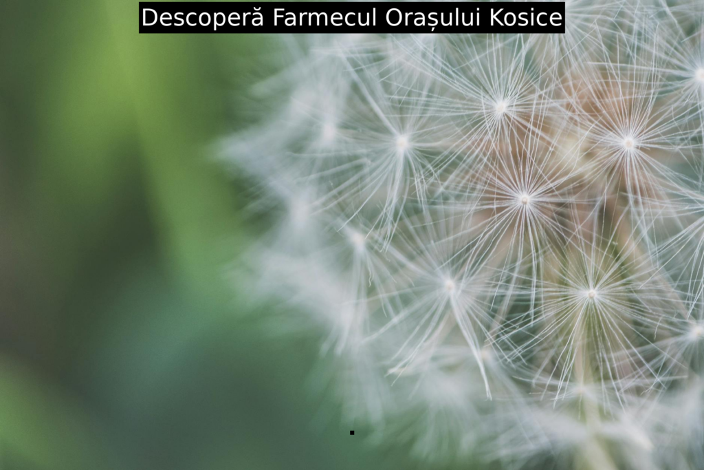 Descoperă Farmecul Orașului Kosice