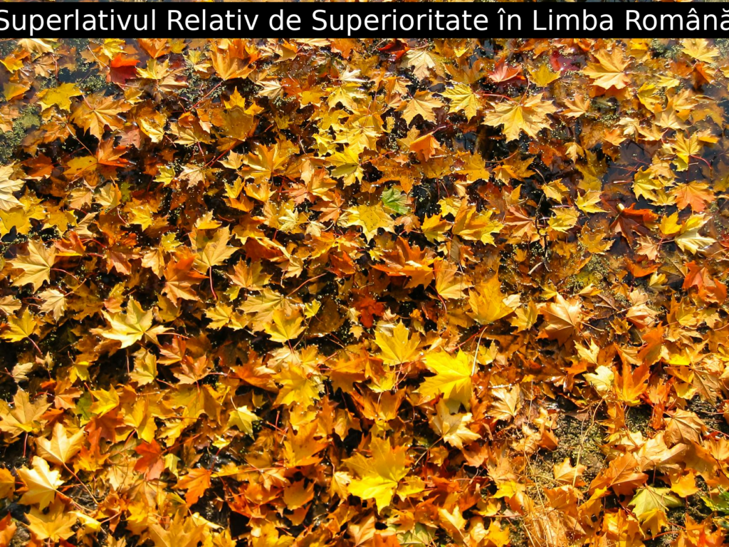 Superlativul Relativ de Superioritate în Limba Română