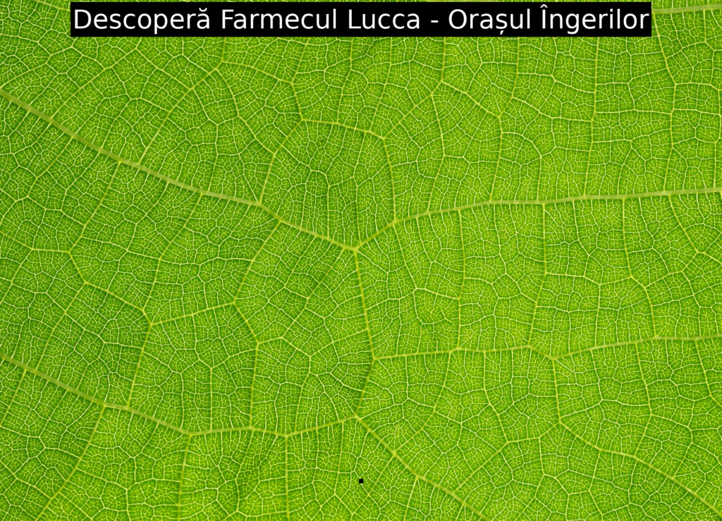 Descoperă Farmecul Lucca – Orașul Îngerilor