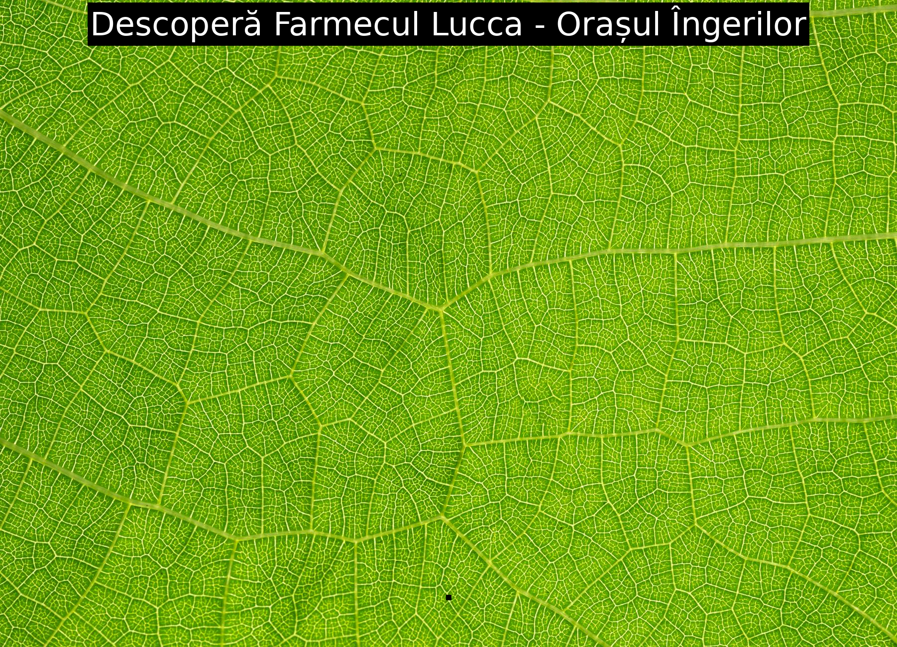 Descoperă Farmecul Lucca – Orașul Îngerilor