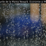 Porturile de la Marea Neagră: Economie și Mediu