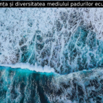 Importanța și diversitatea mediului padurilor ecuatoriale