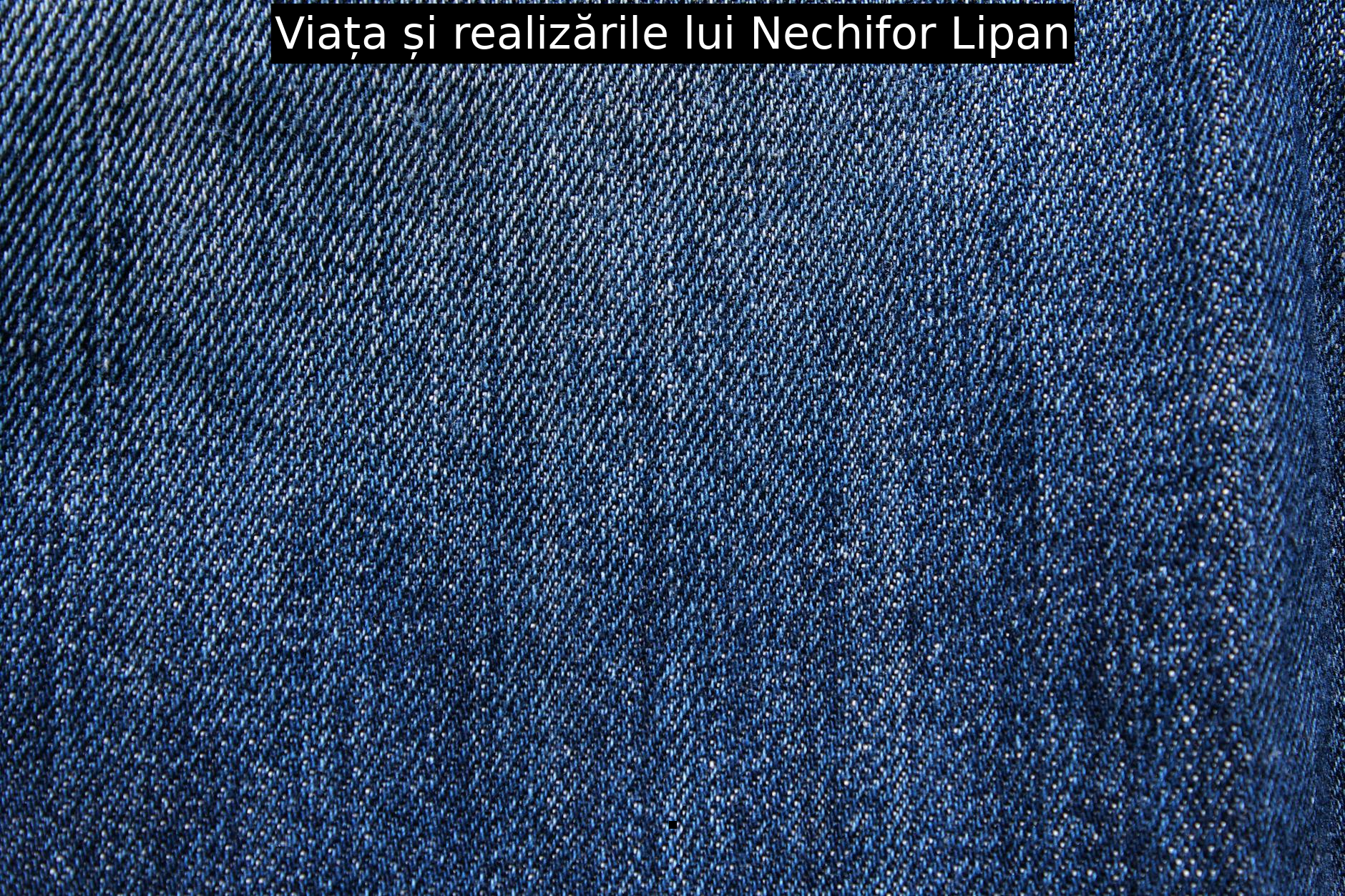 Viața și realizările lui Nechifor Lipan